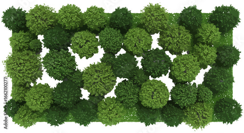 top view of trees a dense canopy from above creating a natural green texture perfect for illustrating concepts of urban forestry and environmental design