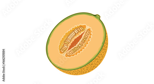 Ripe cantaloupe melon fruit half showing seeds and sweet orange flesh delicious healthy food