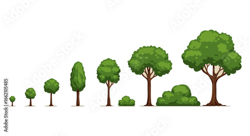 tree growth stages a conceptual illustration showcasing the life cycle of a tree from sapling to full maturity ideal for environmental education materials and ecological publications.