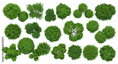 tree top view lush foliage displayed in a green canopy a top-down shot perfect for landscape planning garden design and illustrating botanical diversity.