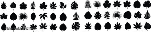 Collection of black leaf silhouette vector icons with botanical variety, tropical foliage, plant shapes for design, decoration, or print.