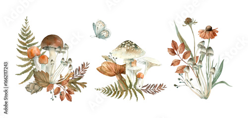 Autumn set of watercolor illustrations with forest plants. Hand drawn fern, leaves, branches, mushrooms, butterflies and flowers. Objects for design isolated on white background