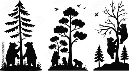 PrintSilhouette vector bears and trees wildlife scene with coniferous and deciduous forest elements, climbing, standing, nature animals, birds, outdoors