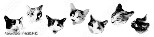 Cat heads halftone art collage cut outs set. Funny stickers with vintage dot texture. Modern retro grunge vector illustration for mixed media design isolated on transparent background