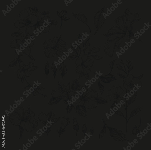 vector and flower design background mixed colour and flower black colour
