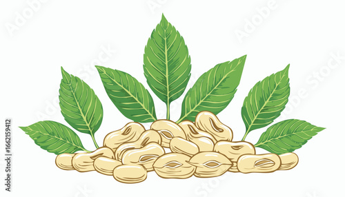 Scattered beans with green leaves illustration legume