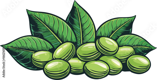 Green Beans with Lush Green Leaves legumes vegetables