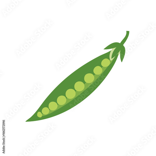 Green Pea Pod Open with Seeds, Fresh Vegetable Ingredient