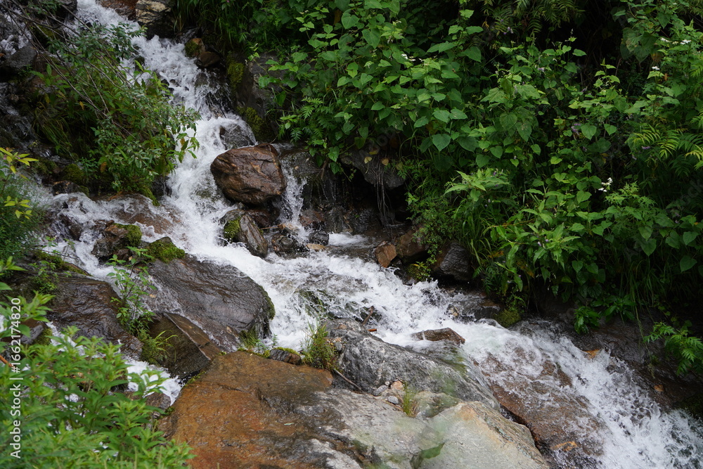 Fototapeta premium Small Stream Flowing Through Green Mountain Valley