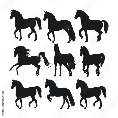 Elegant Black Horse Silhouette Set – Dynamic Equine Poses Collection"