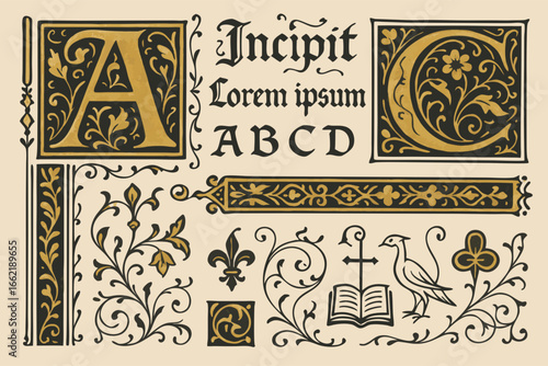 Illuminated Manuscript Alphabet and Decorative Elements Vector