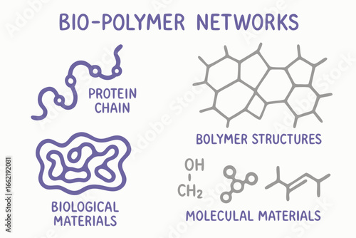 Bio-Polymer Networks: Protein Chain, Polymer Structure, Biological and Molecular Materials Illustration