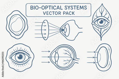Bio-Optical Systems Vector Pack: Eye Anatomy, Light Interaction, and Visual Perception - Anatomical Eye Diagrams