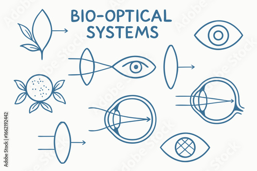 Bio-Optical Systems: Human Eye and Plant Vision Schematic Diagram