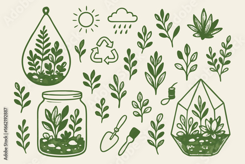 Hand-Drawn Terrarium and Plant Element Collection