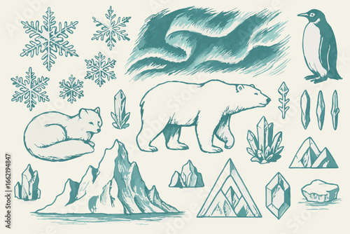 Arctic & Antarctic Elements Vector Illustration
