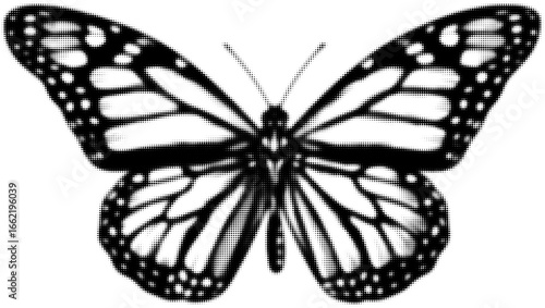 Black and white illustration of a monarch butterfly with detailed wing patterns. Vector illustration
