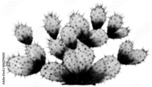 Monochrome halftone of prickly pear cactus with sharp spines. Vector illustration