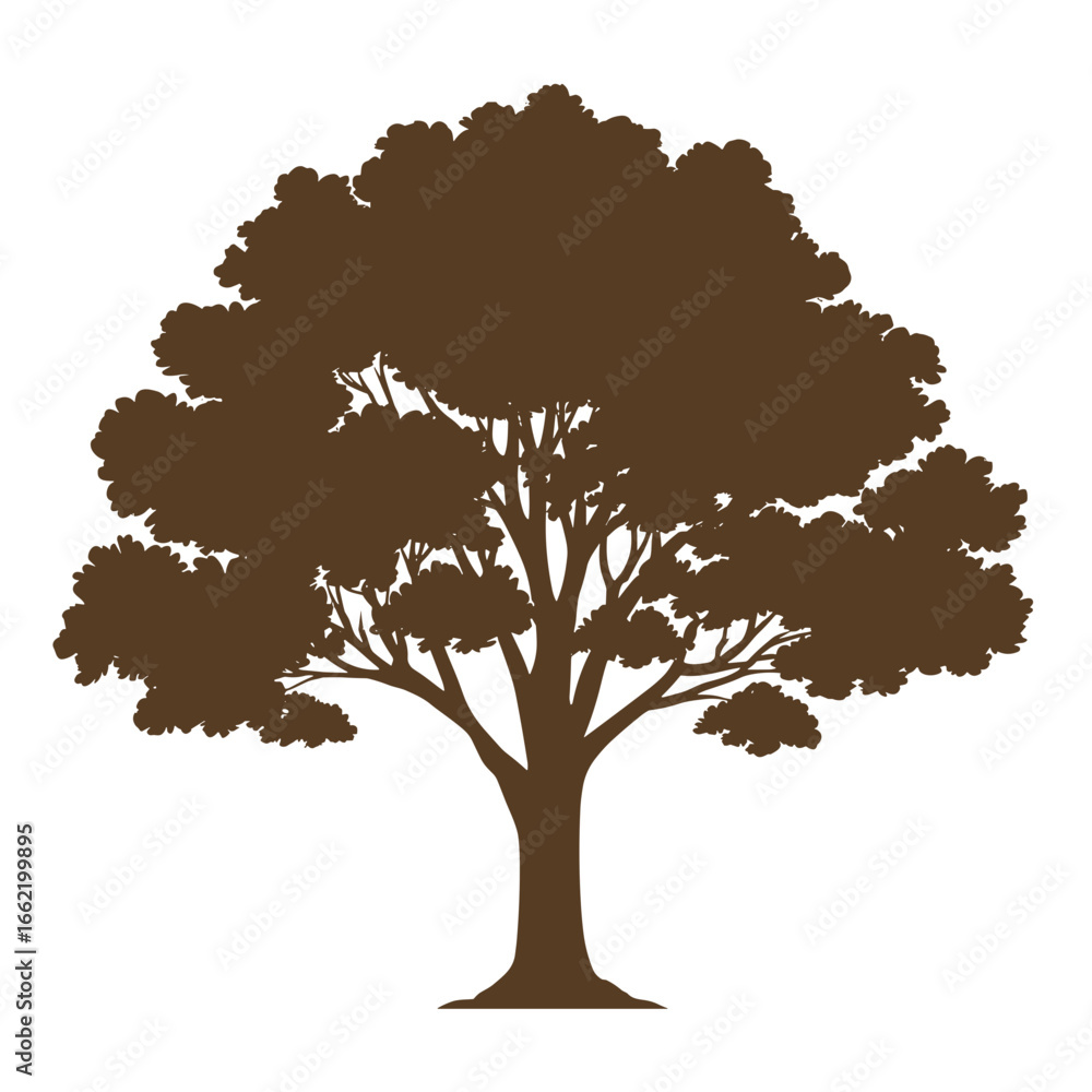Fototapeta premium Tree silhouette with leaves 
