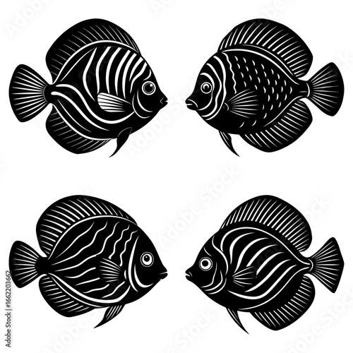 Four black and white stylized angelfish with intricate line patterns facing each other on white background