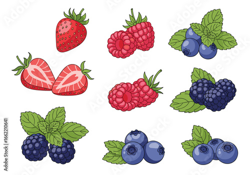 Collection of fresh berries and mint leaves healthy summer fruits for food and drink