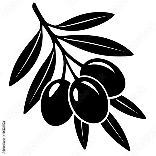 Black and white olives on a branch vector illustration. A simple graphic of a Mediterranean plant, ideal for food-related logos, healthy eating designs, and product packaging.