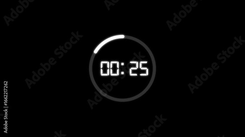 Wallpaper Mural 30 Second countdown with circle animation, 30 to 0 seconds countdown timer animation on black background.  Torontodigital.ca