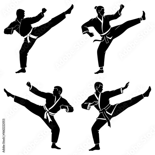 Four silhouettes of martial artists in various kicking poses demonstrating their skills and stances on white