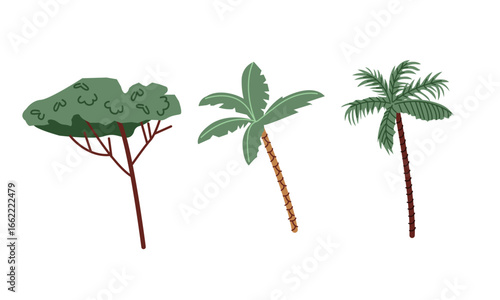 Tropical trees set. Perfect for posters, prints, and design projects that require elegance.