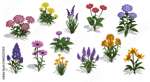 Colorful garden flowers: variety of blooms and foliage in detailed realistic style