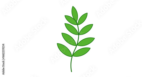 Simple green leaf design on white background