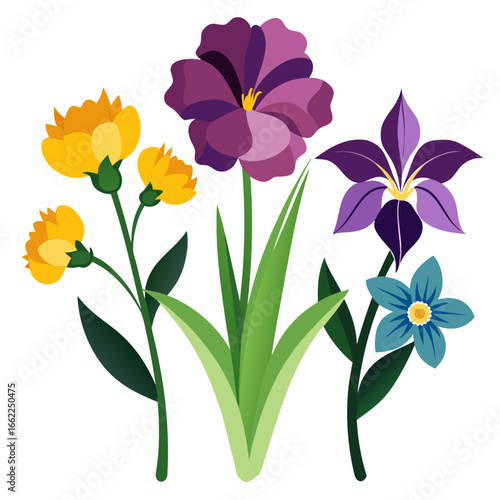 Vibrant spring flower arrangement silhouette isolated on white background