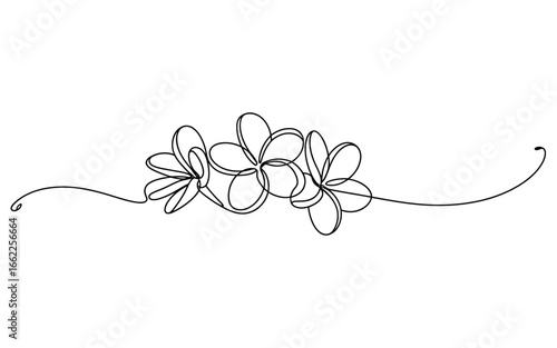 Elegant minimalist plumeria flower line art illustration