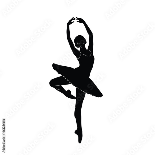 Silhouette of a Ballerina in a Pose