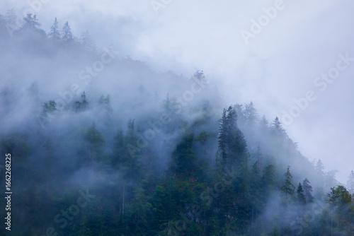 Mountain slope in clouds and mist