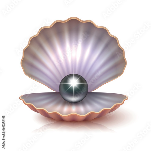 Vector 3d Black Pearl in Open Seashell with Shiny Gem for Jewelry Design. Luxury Pearl Decoration. Elegant Ocean Pearl in Realistic Style for Beauty, Wedding and Nautical Concept. Vector Illustration