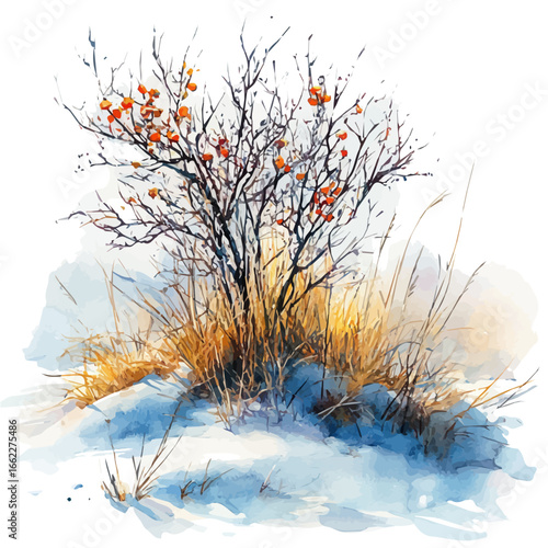 Winter Snow Drift, watercolor vector, isolated on a white background.