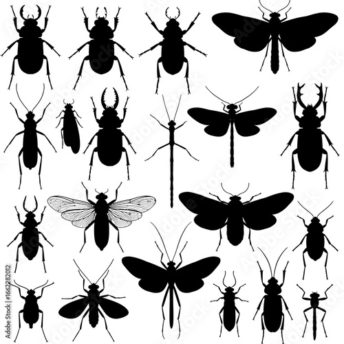A Diverse Collection of Silhouette Insects and Bugs Featuring Various Species and Anatomical Structures with Detailed Outlines
