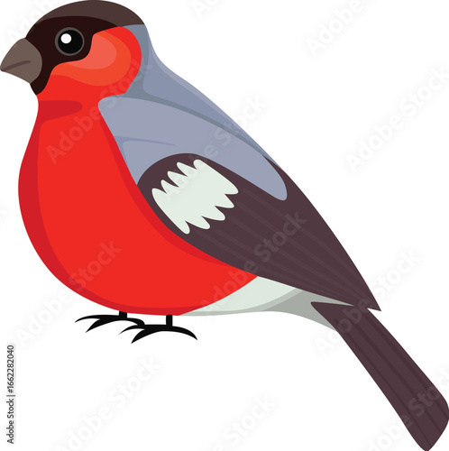 Best Bullfinch bird icon vactor iamge