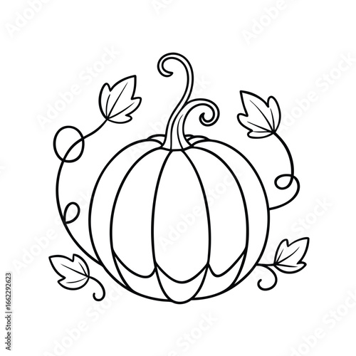 Autumn pumpkin with delicate leafy vine line art doodle illustration