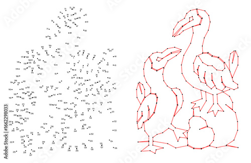 Connect the dots educational drawing game. Dot to dot by numbers puzzle. Google Font Fira Sans Condensed. Mating dance of gannets.