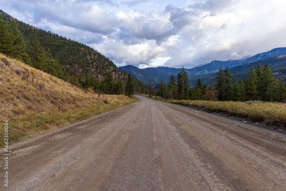 Fototapeta premium Scenic Dirt Road in a Forested Valley with Mountain Views