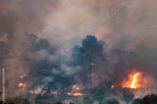 Forest Engulfed in Flames and Smoke During Nighttime Wildfire