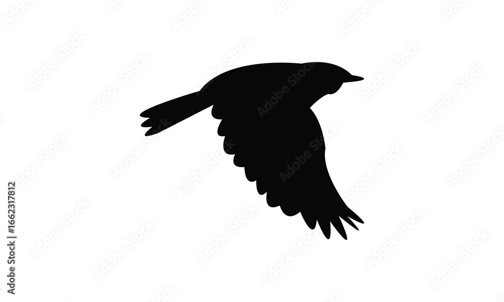 Fototapeta premium Flying American yellow warbler bird Silhouette Design And Vector Illustration. 