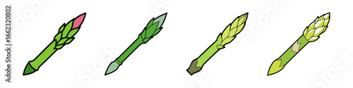 Cartoon illustration of fresh asparagus spears-Set of hand drawn asparagus spears in different shades of green, isolated on white, representing healthy food, vegetables, and nutrition.