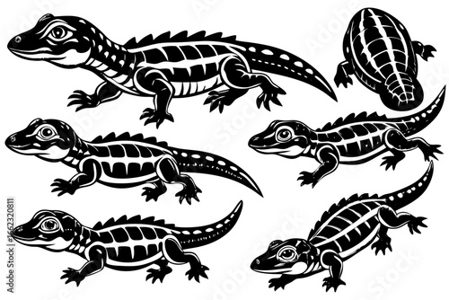 A wild green reptile, a small iguana, is shown in a black vector illustration