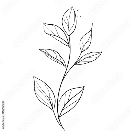 Elegant black line drawing of a stylized plant
