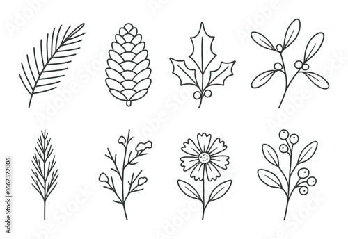 Nature-inspired botanical illustrations: leaves, pinecone, flowers, and berries