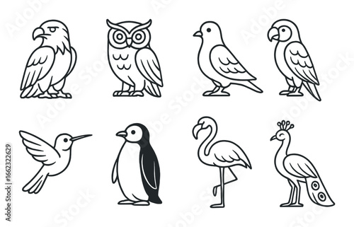 Outlined bird illustrations: eagle, owl, parrot, pigeon, hummingbird, penguin, flamingo, peacock