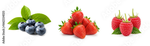 Berries isolated on white background
